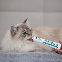 VETEXPERT TrichoCat - pasta nuo plaukelių, skirta cats - 50 g VETEXPERT TrichoCat - pasta nuo plaukelių, skirta cats - 50 g