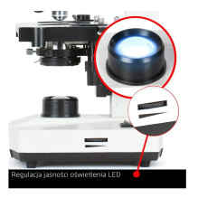 Delta Optical BioStage II Microscope Delta Optical BioStage II Microscope