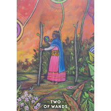 Kolekcionuojamos Kortelės - The Shaman's Tarot 78 Cards With Guidebook Kolekcionuojamos Kortelės - The Shaman's Tarot 78 Cards With Guidebook