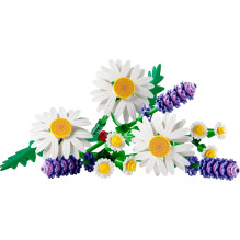 Statybų rinkinys - LEGO Botaniniai 11508 Ramunės (Lego, 133 elementai, 200 mm aukščio) Statybų rinkinys - LEGO Botaniniai 11508 Ramunės (Lego, 133 elementai, 200 mm aukščio)