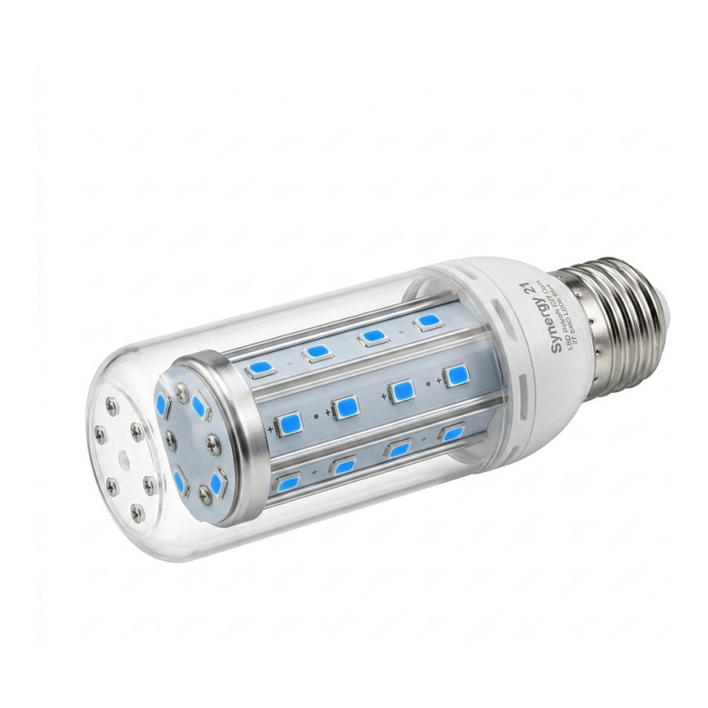 Synergy 21 LED Retrofit E27 Corn 27 SMD LEDs blue