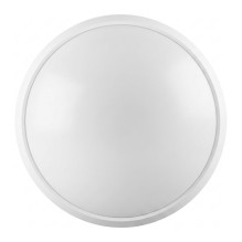 Osram SURFACE CIRCULAR 250...