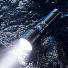FLASHLIGHT DL SERIES / 1100...