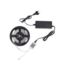 Indoor flexible PNI D-Light 60RGB LED strip 60 LEDs / m 12V 5m with remote control and transformer included Indoor flexible PNI D-Light 60RGB LED strip 60 LEDs / m 12V 5m with remote control and transformer included