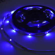 Indoor flexible PNI D-Light 60RGB LED strip 60 LEDs / m 12V 5m with remote control and transformer included Indoor flexible PNI D-Light 60RGB LED strip 60 LEDs / m 12V 5m with remote control and transformer included