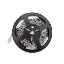 Indoor flexible PNI D-Light 60RGB LED strip 60 LEDs / m 12V 5m with remote control and transformer included Indoor flexible PNI D-Light 60RGB LED strip 60 LEDs / m 12V 5m with remote control and transformer included