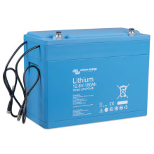 LiFePO4 akumuliatorius 12,8 V / 180 Ah – išmanusis