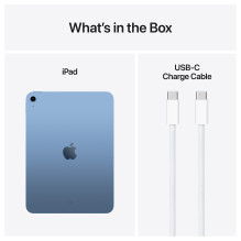Apple iPad