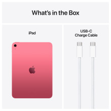 Apple iPad