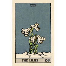 Pixie Astounding Lenormand kortos skardinėjė dėžutėje US Games Systems Pixie Astounding Lenormand kortos skardinėjė dėžutėje US Games Systems