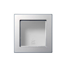 Frame Liregus Epsilon, metal