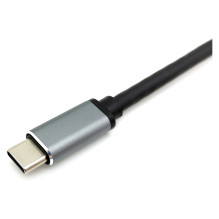 Equip Dock USB-C- 2xHDMI.USB 3.0.100WPD 15cm si Equip Dock USB-C- 2xHDMI.USB 3.0.100WPD 15cm si