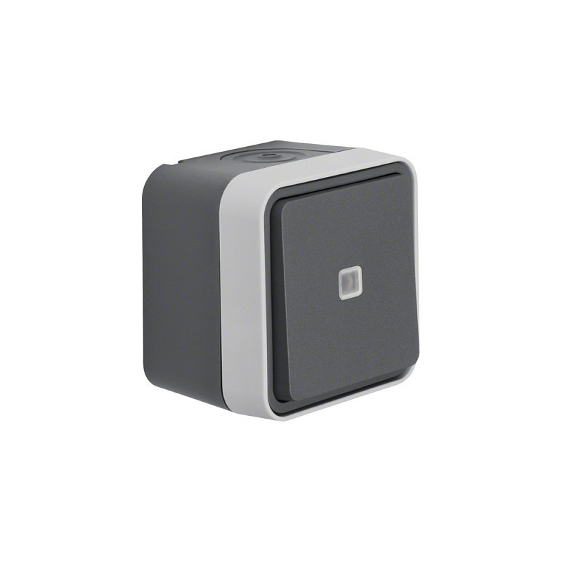Berker 30763525 Ko-Wechselschalter, beleuchtet AP WD W.1 grau