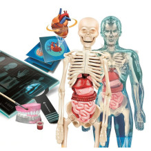 Clementoni Set - Super Anatomy
