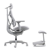 LiberNovo Omni Dynamic 45 cm Ergonomic Chair (Gray)
