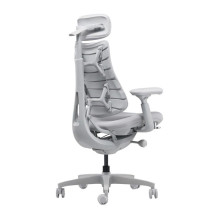 LiberNovo Omni Dynamic 45 cm Ergonomic Chair (Gray)
