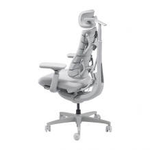 LiberNovo Omni Dynamic 45 cm Ergonomic Chair (Gray)
