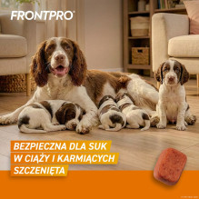 FRONTPRO Flea and tick tablets for dog ( 10-25 kg) - 3x 68mg FRONTPRO Flea and tick tablets for dog ( 10-25 kg) - 3x 68mg