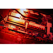 Goodram SODIMM DDR5 2x32GB 5600MHz CL40 DR RIVAL memory module 64 GB 5600 MT / s 262-pin SO-DIMM Goodram SODIMM DDR5 2x32GB 5600MHz CL40 DR RIVAL memory module 64 GB 5600 MT / s 262-pin SO-DIMM
