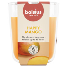 Žvakė, aromatinė Bolsius...
