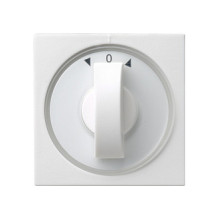 GIRA 066603 wall plate /...