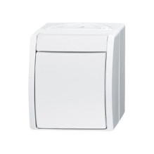 Busch-Jaeger 2601 / 6 W-54