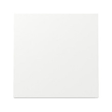 GIRA 329670 wall plate / switch cover