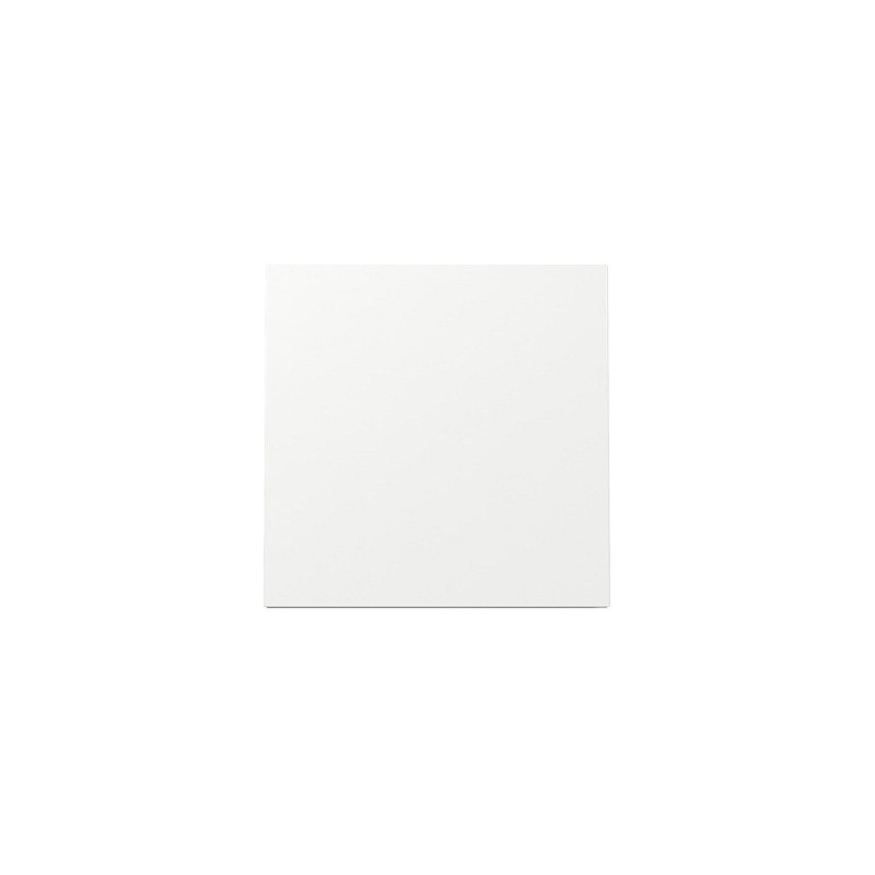 GIRA 329670 wall plate / switch cover