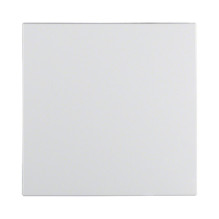 Berker 1620 19 09 Wippe PWS...