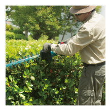 DUH502Z Cordless Hedge Trimmer DUH502Z Cordless Hedge Trimmer