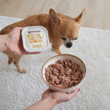 PAKA ZWIERZAKA Rabbit and boar with pumpkin - wet dog food - 150g
