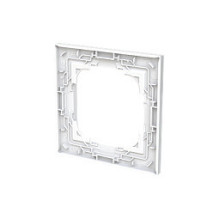 BUSCH JAEGER 1721-44G Cover frame 1-fach