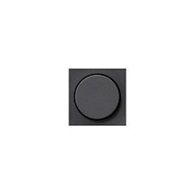 GIRA 065028 Cover Rotary...