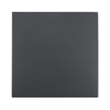 Berker 1620 16 06 Wippe ANT...