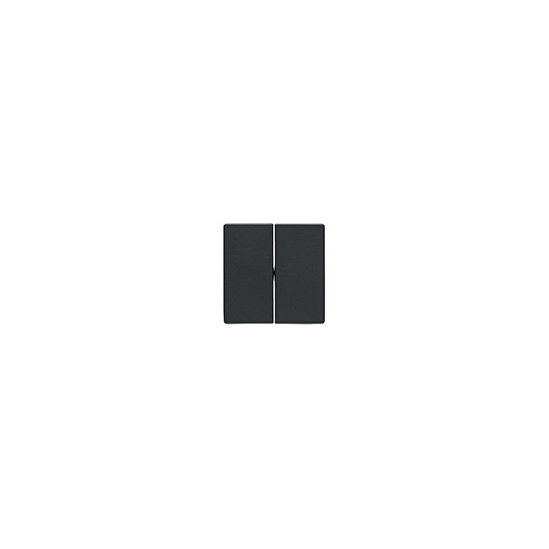 Berker 16236086 Rockers Q.1 / Q.3 anthracite, velvet