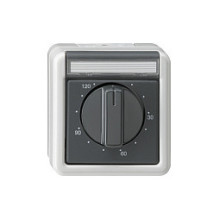 GIRA 032130 Timer switch...