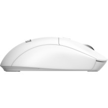 KEYBOARD +MOUSE / FORGE K210 W COMBO WHITE MSI