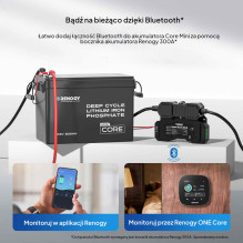 „Renogy Core Mini“ 12 V 200 Ah ličio jonų akumuliatorius