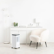 Taurus 4-in-1 air cooler Snowfield 5 L, 60 W Taurus 4-in-1 air cooler Snowfield 5 L, 60 W