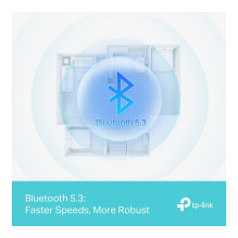 TP-Link Bluetooth UB500 Plus Bluetooth 5.3 USB adapteris TP-Link Bluetooth UB500 Plus Bluetooth 5.3 USB adapteris