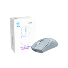 MOUSE USB OPTICAL WRL...