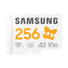 SD MicroSD Card 256GB...