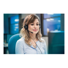 Jabra BIZ 2300 QD Duo