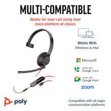 HP Poly Headset Blackwire 5210 (8X230A6)