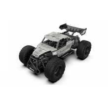 Amewi RC Stone Buggy Car...