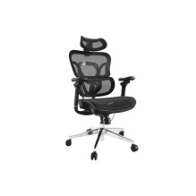 Equip ergonomic office...