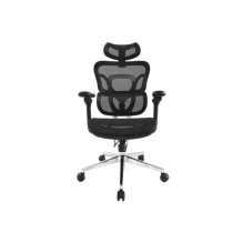 Equip ergonomic office chair with headrest and armrests black lite Retail