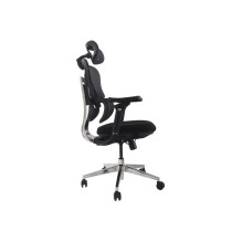 Equip ergonominė biuro kėdė su galvos / porankių atramomis ir SFS juoda lite Retail