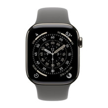 Apple Watch S11 Titan Natur Cellular 46mm (Sportband steinGray) M / L