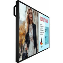 PHILIPS P-Line 50BDL6017P...